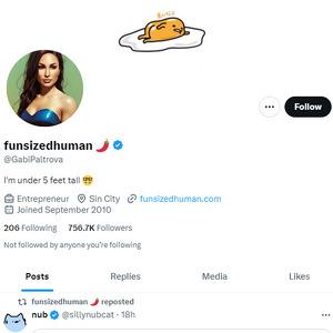 https://twitter.com