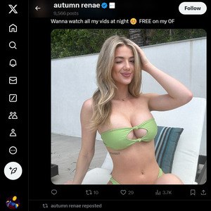 https://xcreators.link