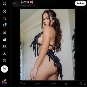 https://xcreators.link